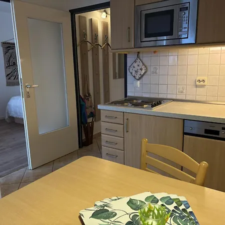 Berolina 518 - Horizont Daire *